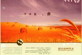 哪些盲盒大受年轻人喜爱?